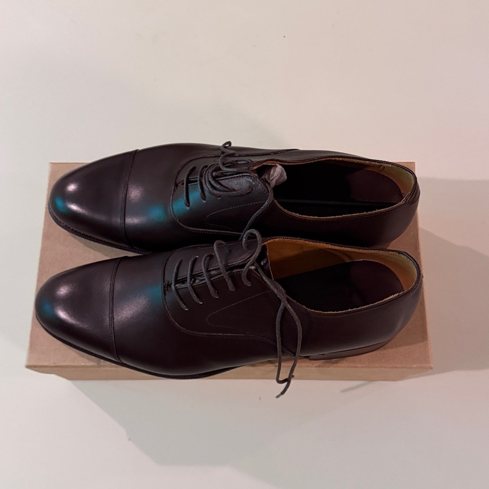 Size 10.5E Meermin Calf Dark Brown NWT CapToe Oxfords